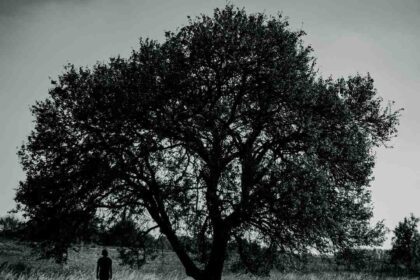 Comment soigner ma depression