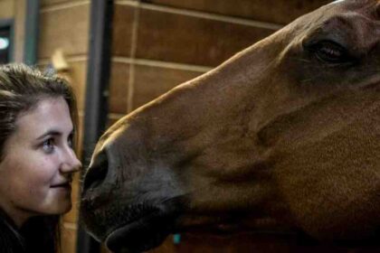 Confiance en soi meilleur livre