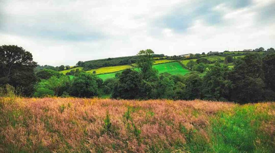 Comment reprendre confiance en soi apres un burn out