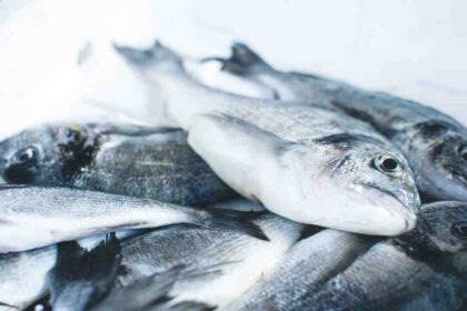 Quel décan pour Poisson ?