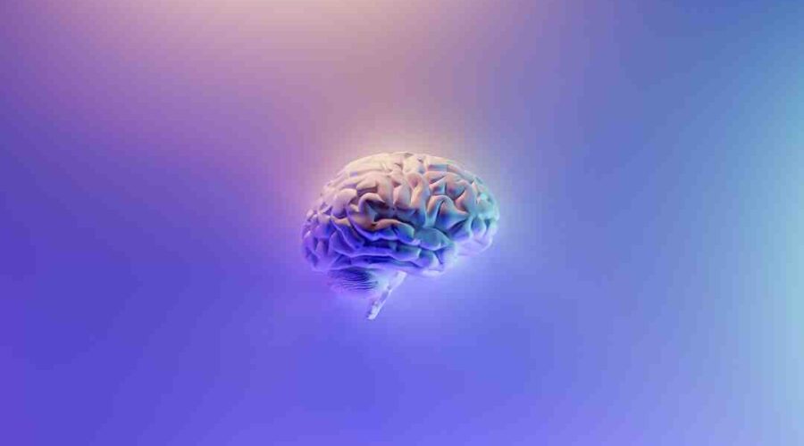 Comment le manque de sommeil affecte le cerveau ?